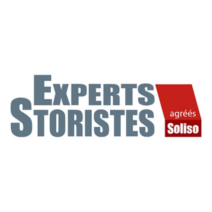 Logo Experts Storistes